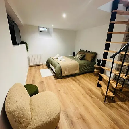 Apartment Elegante En Souplex - Gare A Proximite