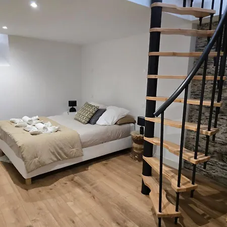 Apartment Elegante En Souplex - Gare A Proximite