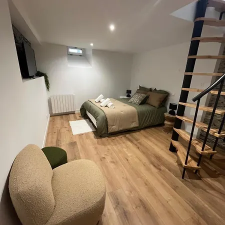 Calme & Elegant - Angers Centre - Gare A Pied 公寓 *