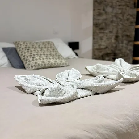 Elegante En Souplex - Gare & Centre A Pied Apartment