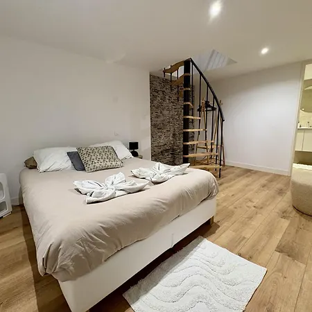 Apartment Elegante En Souplex - Gare & Centre A Pied Angers