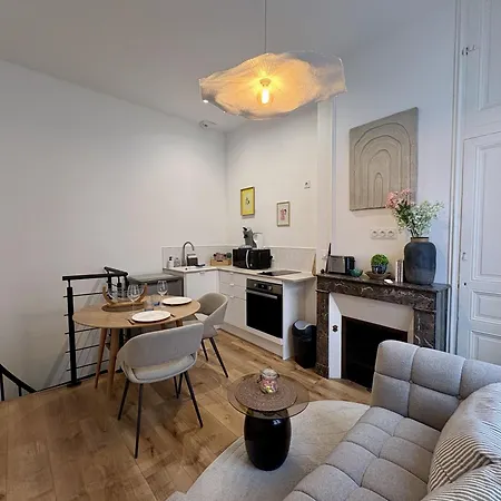 Elegante En Souplex - Gare & Centre A Pied Apartment Angers