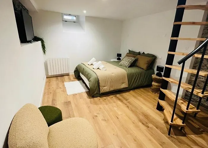 Apartment Elegante En Souplex - Gare & Centre A Pied