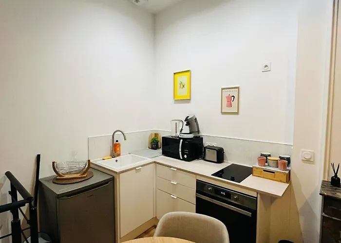 Elegante En Souplex - Gare & Centre A Pied Apartment